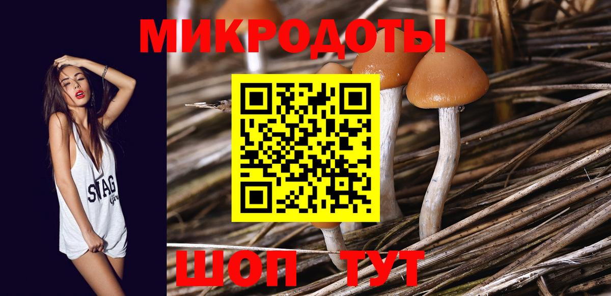 Воткинск  Псилоцибиновые грибы ЛСД  Вход с VPN 